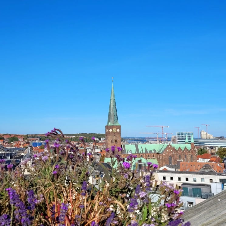 Aarhus_view