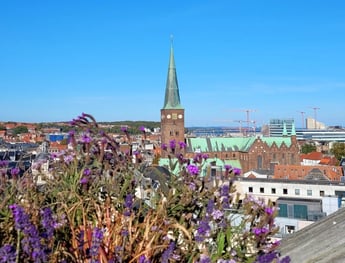 Aarhus_view2