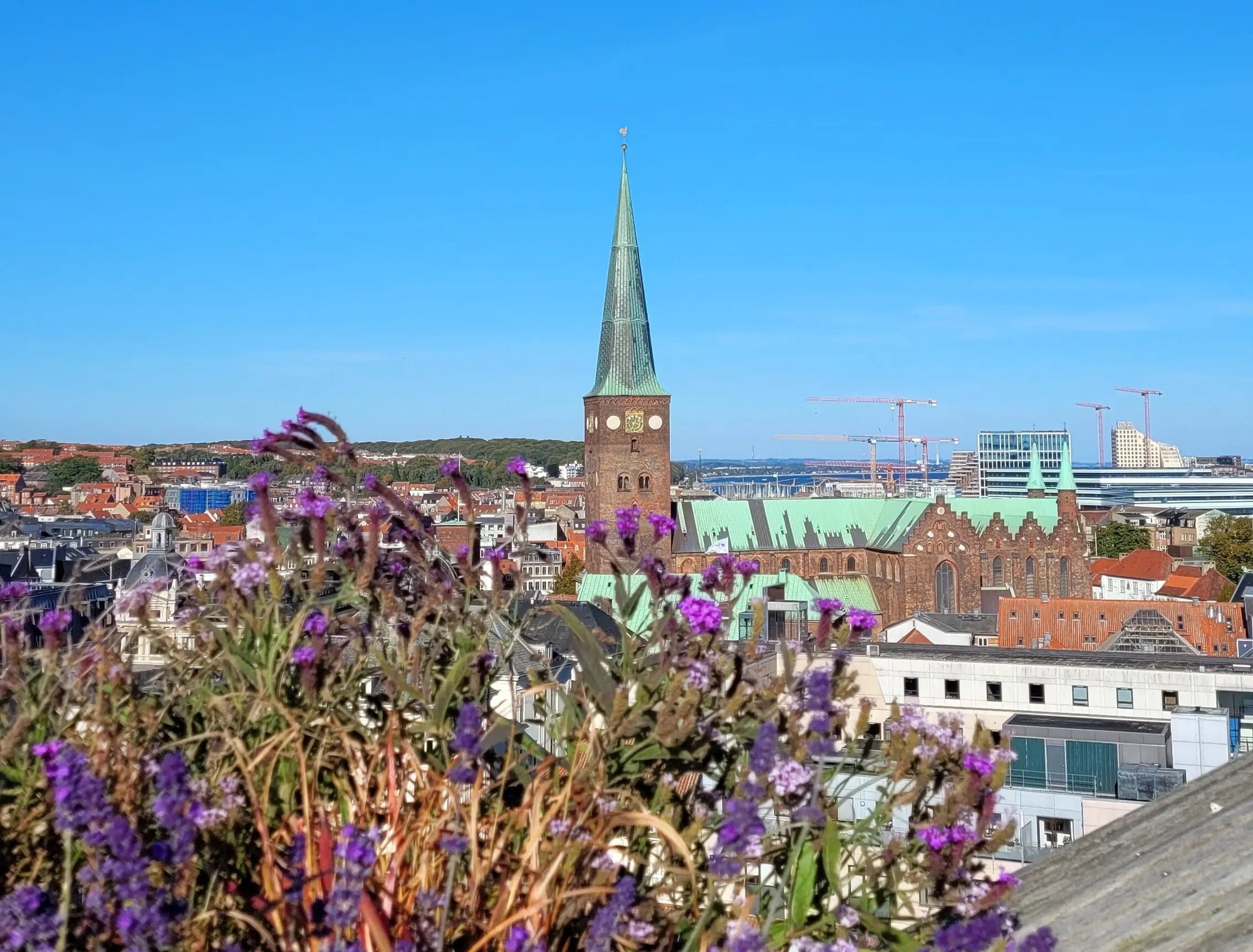 Aarhus_view2