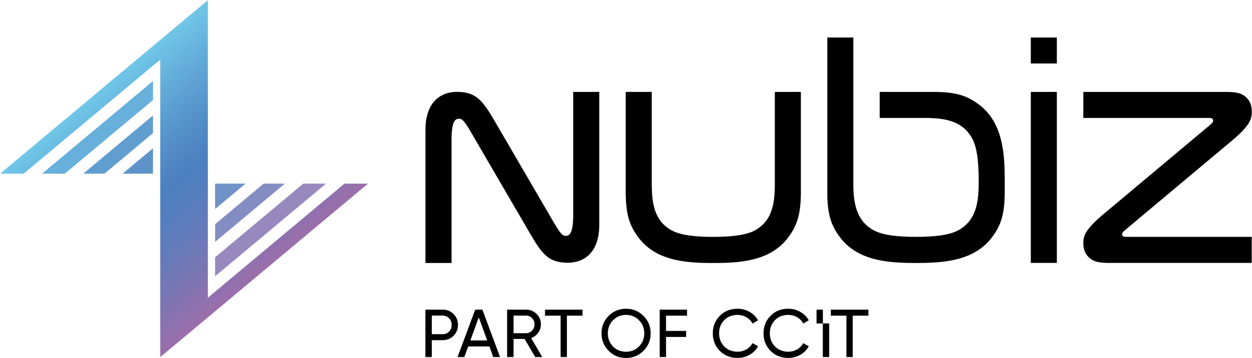 Nubiz_CCIT_Logo-scaled