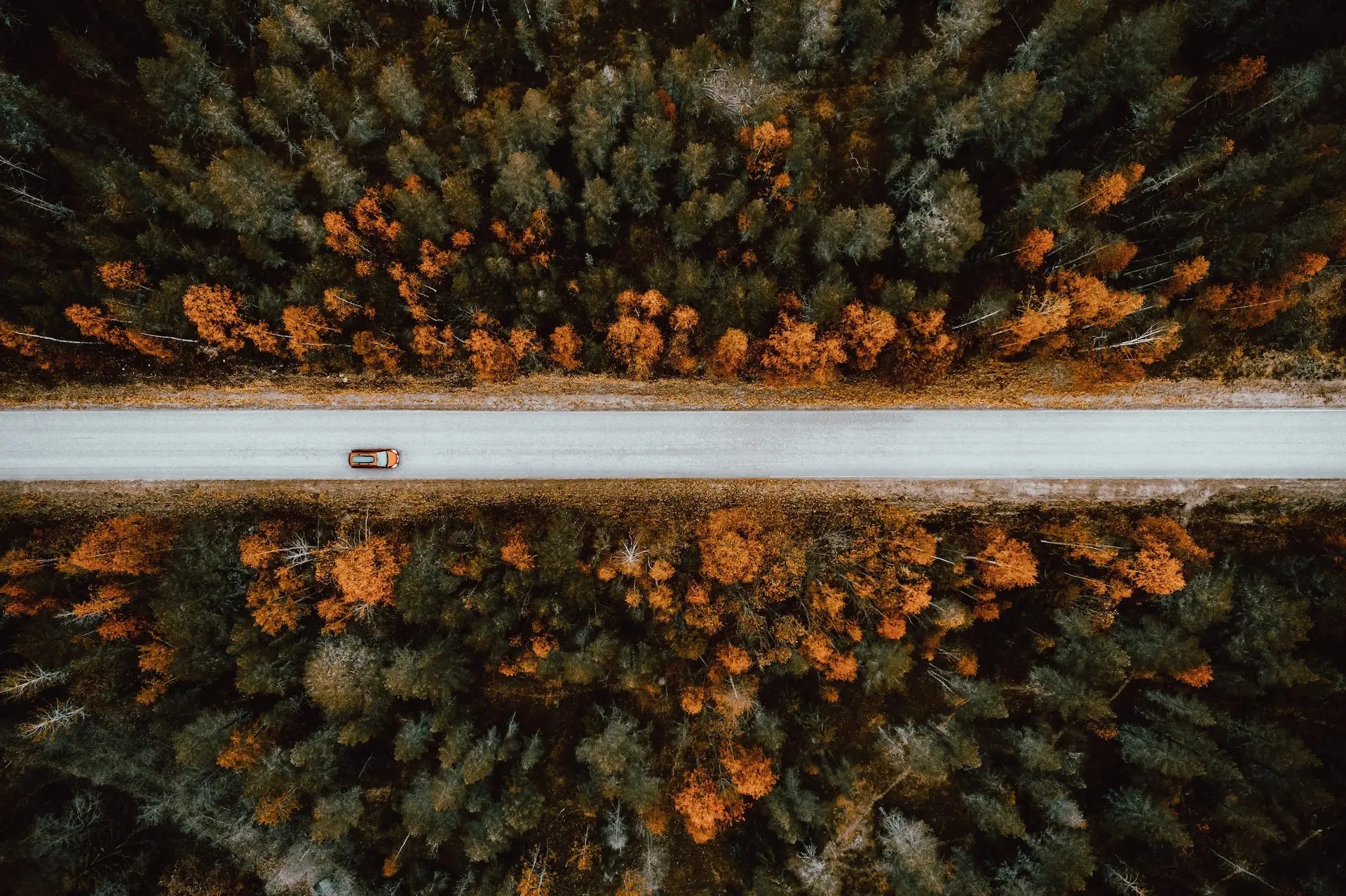 Aerial view of a lone car driving along a straight road that cuts through a dense forest, with trees showing autumn colors in shades of green, orange, and brown.