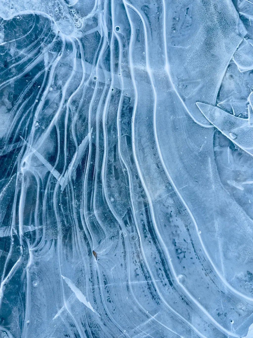 ec2f17554ba7d88246e9265519f34430076aa2d7-1